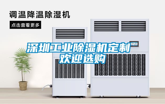 深圳工業(yè)除濕機定制 歡迎選購