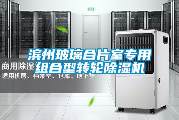 濱州玻璃合片室專(zhuān)用組合型轉(zhuǎn)輪除濕機(jī)