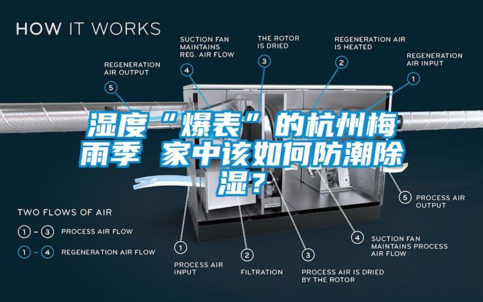 濕度“爆表”的杭州梅雨季 家中該如何防潮除濕？