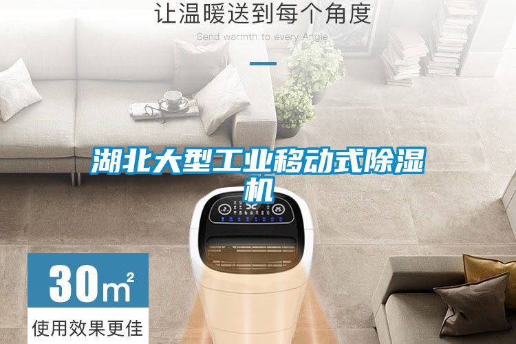 湖北大型工業(yè)移動式除濕機(jī)