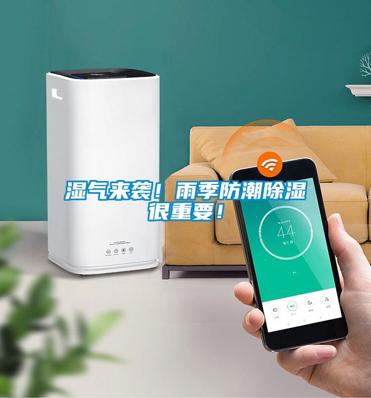 濕氣來襲！雨季防潮除濕很重要！