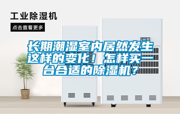 長(zhǎng)期潮濕室內(nèi)居然發(fā)生這樣的變化！怎樣買一臺(tái)合適的除濕機(jī)？
