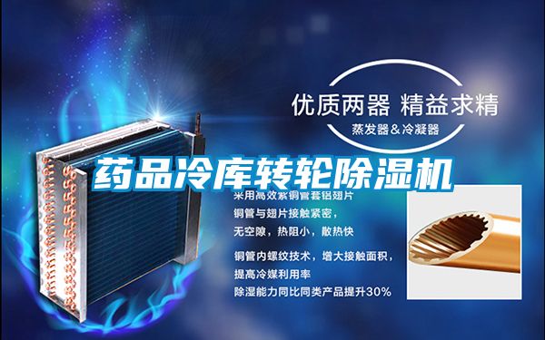 藥品冷庫轉(zhuǎn)輪除濕機