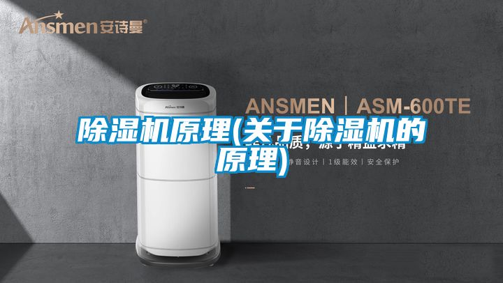 除濕機原理(關(guān)于除濕機的原理)