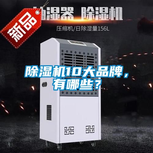 除濕機10大品牌，有哪些？