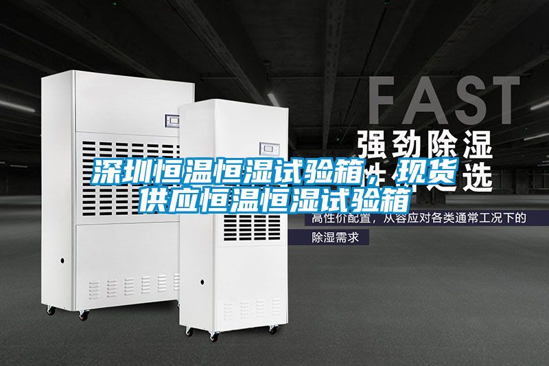 深圳恒溫恒濕試驗箱，現貨供應恒溫恒濕試驗箱