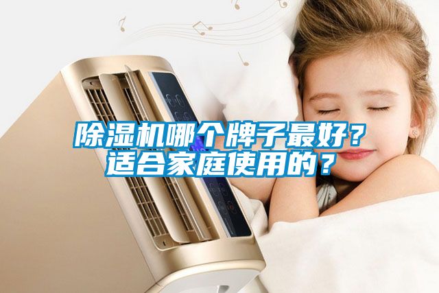 除濕機(jī)哪個(gè)牌子最好？適合家庭使用的？