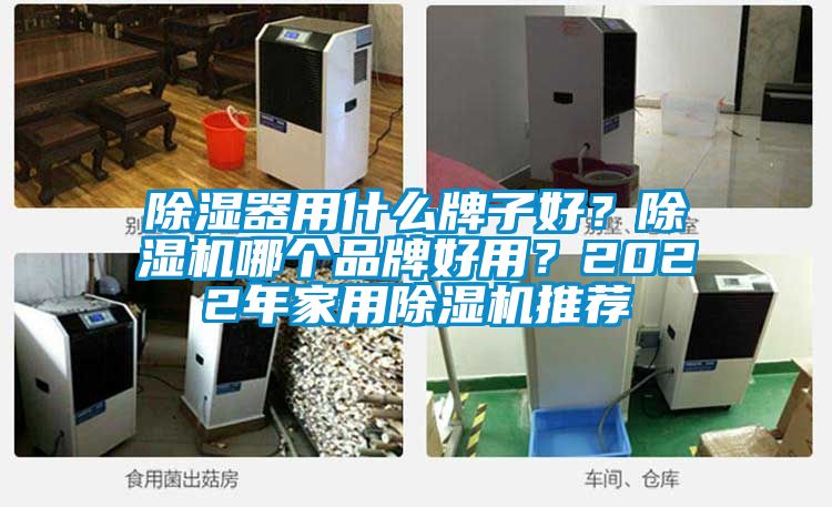 除濕器用什么牌子好？除濕機哪個品牌好用？2022年家用除濕機推薦