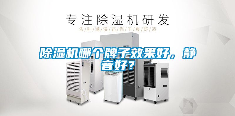除濕機(jī)哪個(gè)牌子效果好，靜音好？