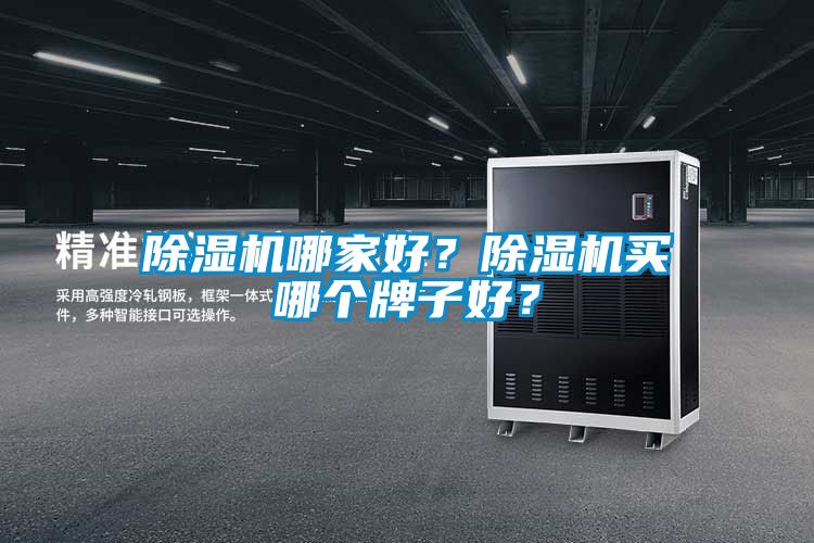 除濕機(jī)哪家好？除濕機(jī)買哪個(gè)牌子好？