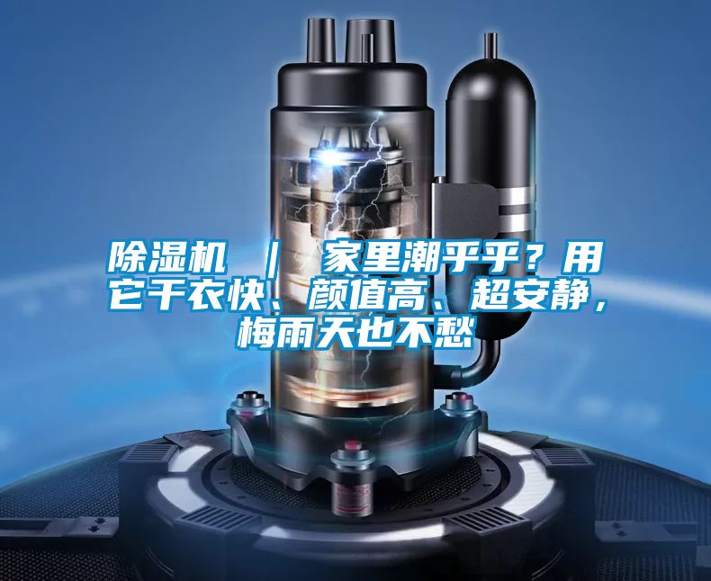 除濕機 ｜ 家里潮乎乎？用它干衣快、顏值高、超安靜，梅雨天也不愁