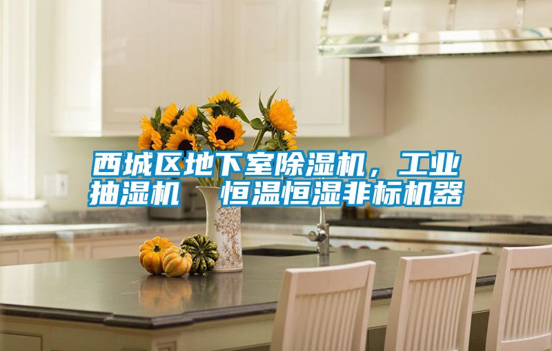 西城區(qū)地下室除濕機，工業(yè)抽濕機  恒溫恒濕非標機器