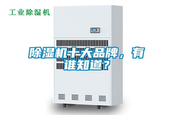 除濕機(jī)十大品牌，有誰(shuí)知道？