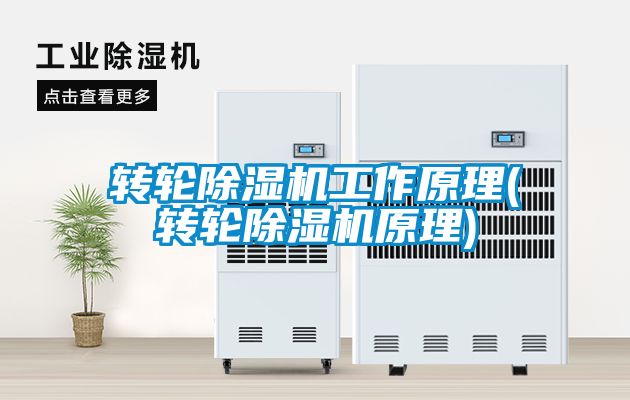 轉(zhuǎn)輪除濕機工作原理(轉(zhuǎn)輪除濕機原理)