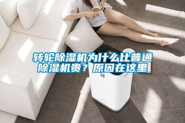 轉輪除濕機為什么比普通除濕機貴？原因在這里