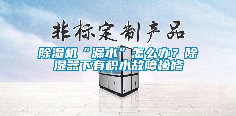 除濕機(jī)“漏水”怎么辦?除濕器下有積水故障檢修
