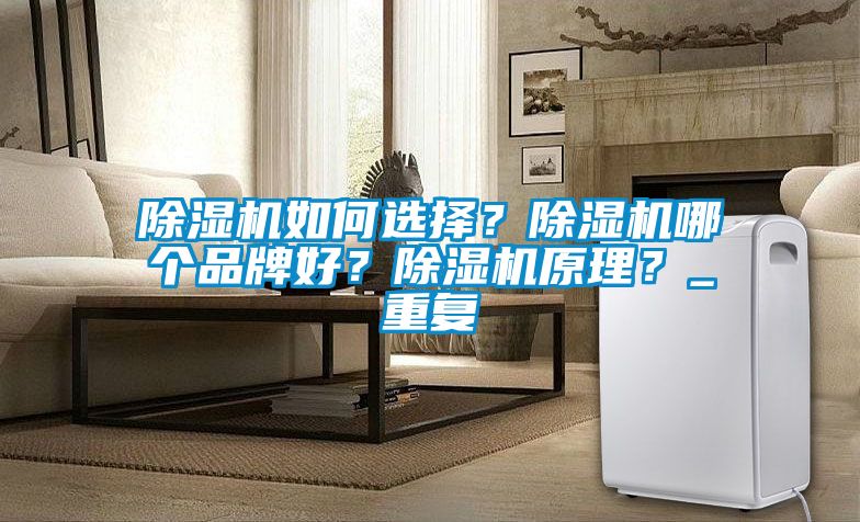 除濕機如何選擇？除濕機哪個品牌好？除濕機原理？_重復(fù)