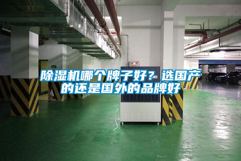 除濕機(jī)哪個(gè)牌子好？選國產(chǎn)的還是國外的品牌好