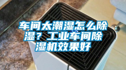車間太潮濕怎么除濕？工業車間除濕機效果好