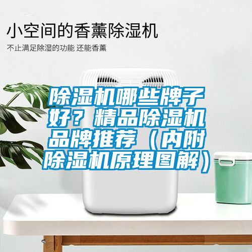 除濕機哪些牌子好?精品除濕機品牌推薦(內附除濕機原理圖解)
