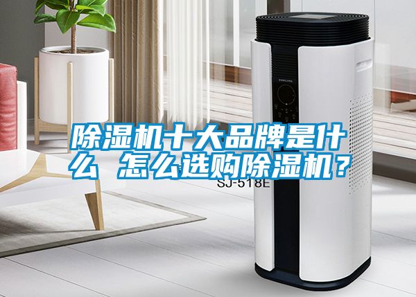 除濕機(jī)十大品牌是什么 怎么選購(gòu)除濕機(jī)？