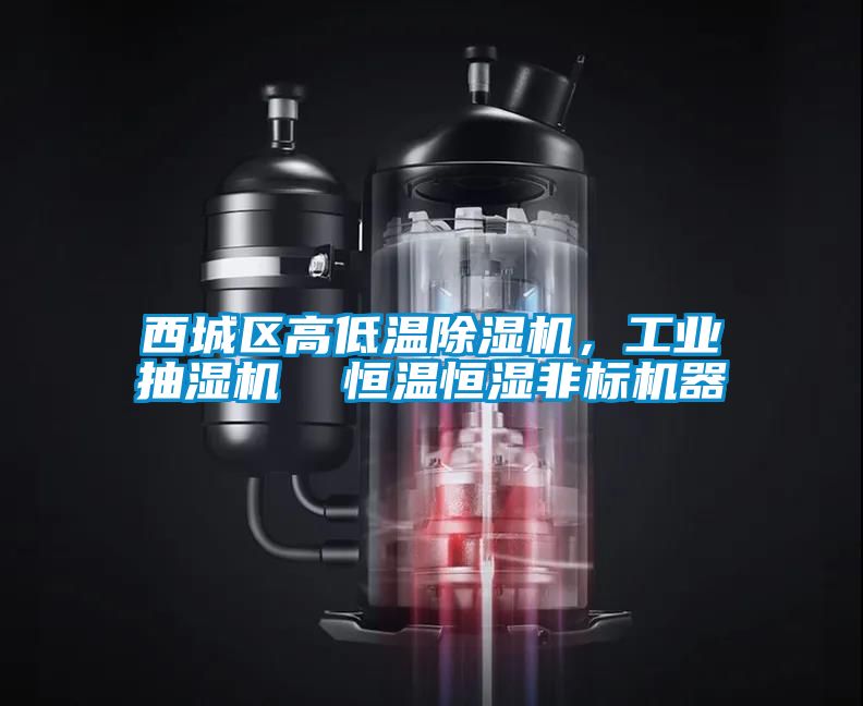 西城區高低溫除濕機,工業抽濕機 恒溫恒濕非標機器