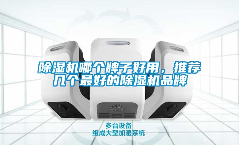 除濕機哪個牌子好用，推薦幾個最好的除濕機品牌