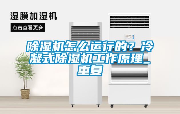 除濕機怎么運行的?冷凝式除濕機工作原理_重復