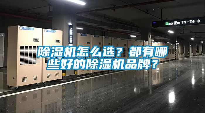 除濕機怎么選？都有哪些好的除濕機品牌？