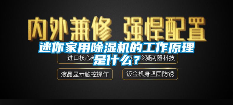迷你家用除濕機的工作原理是什么？
