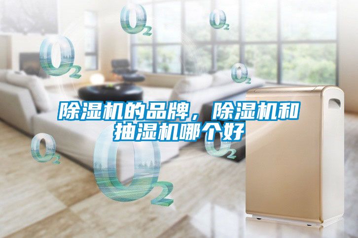 除濕機(jī)的品牌，除濕機(jī)和抽濕機(jī)哪個好