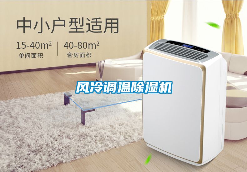 風(fēng)冷調(diào)溫除濕機