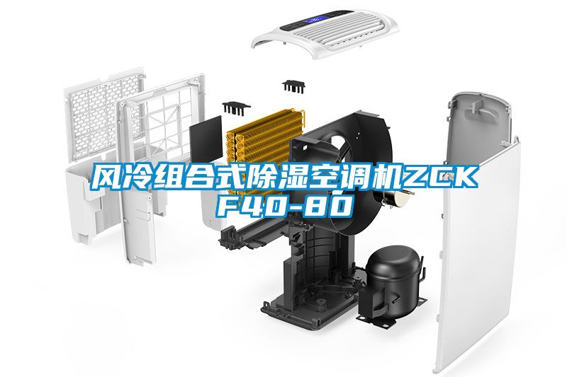風(fēng)冷組合式除濕空調(diào)機ZCKF40-80