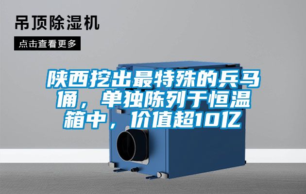 陜西挖出最特殊的兵馬俑，單獨陳列于恒溫箱中，價值超10億