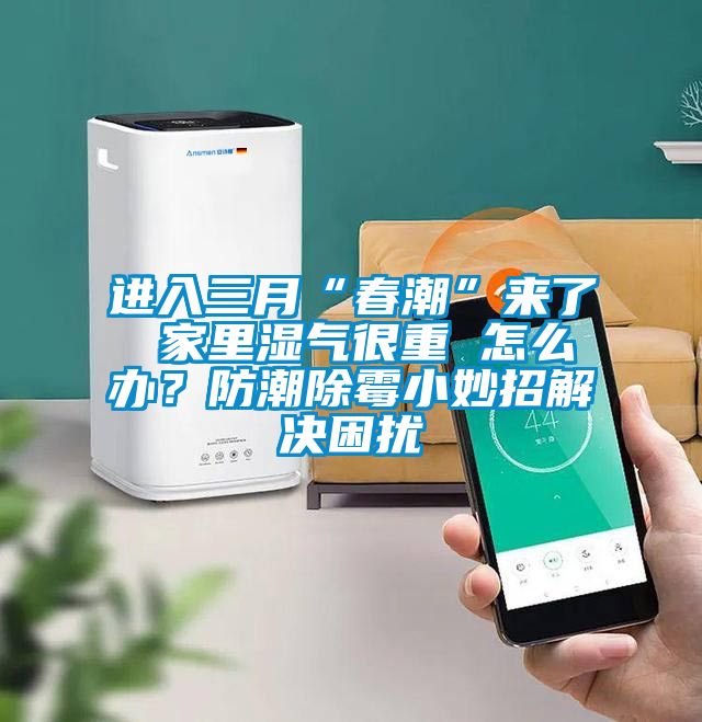進入三月“春潮”來了 家里濕氣很重 怎么辦？防潮除霉小妙招解決困擾
