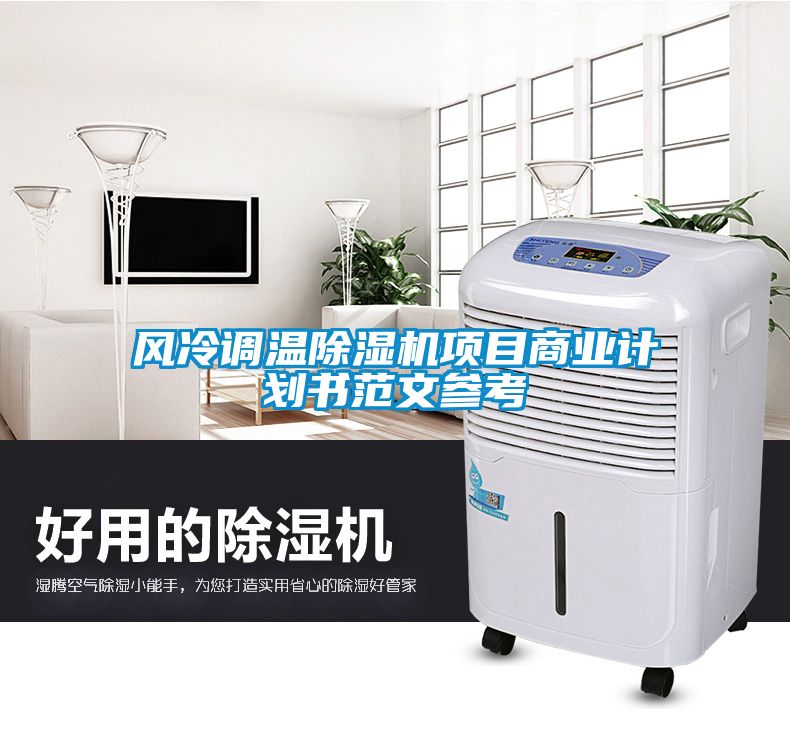 風(fēng)冷調(diào)溫除濕機項目商業(yè)計劃書范文參考