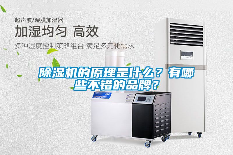 除濕機(jī)的原理是什么？有哪些不錯(cuò)的品牌？