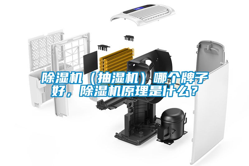 除濕機(jī)（抽濕機(jī)）哪個牌子好，除濕機(jī)原理是什么？