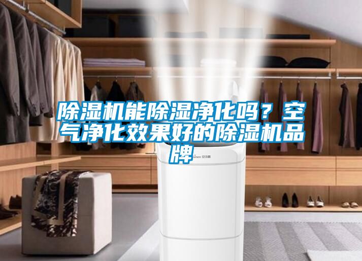 除濕機能除濕凈化嗎？空氣凈化效果好的除濕機品牌