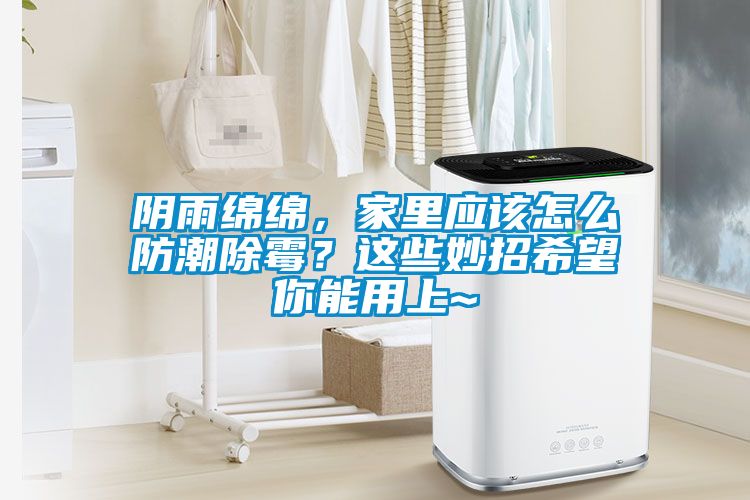 陰雨綿綿,家里應該怎么防潮除霉?這些妙招希望你能用上~