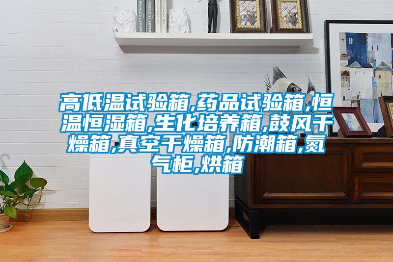 高低溫試驗箱,藥品試驗箱,恒溫恒濕箱,生化培養箱,鼓風干燥箱,真空干燥箱,防潮箱,氮氣柜,烘箱