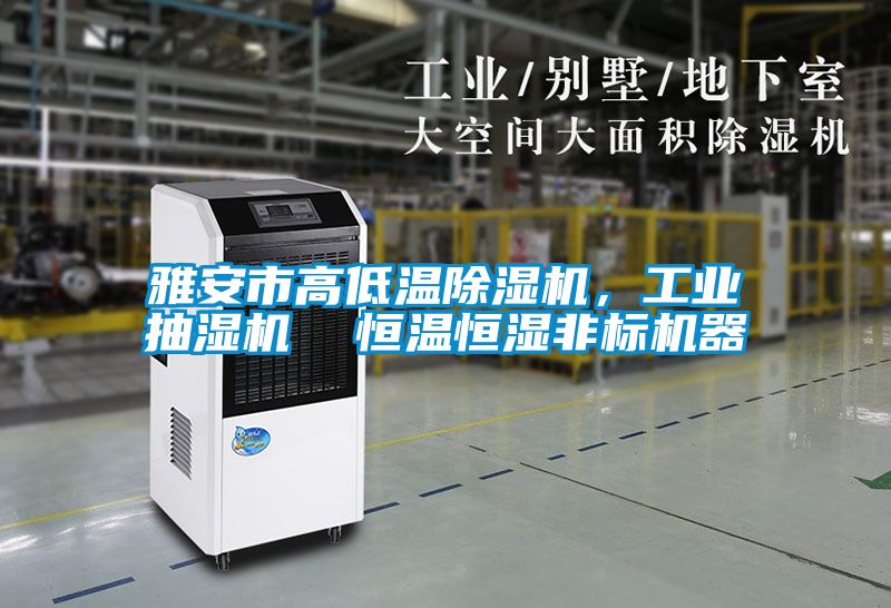 雅安市高低溫除濕機，工業抽濕機  恒溫恒濕非標機器