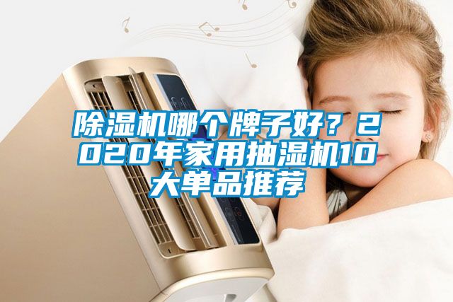 除濕機哪個牌子好？2020年家用抽濕機10大單品推薦