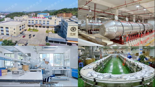 中茶引領六堡茶工業革命2.0 智能化清潔機械與設備的革新之路